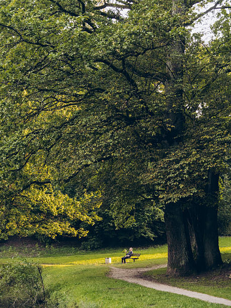 istock A lonely woman sits on a bench in a park 2256223921