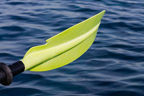 Green kayak paddle blade resting on deep blue sea water surface during a bright summer day of outdoor adventure and recreation