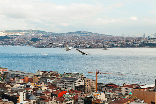 Istanbul, Turkey – November 27, 2013:Panoramic view of Istanbul city rooftops and waterfront under cloudy skies.
