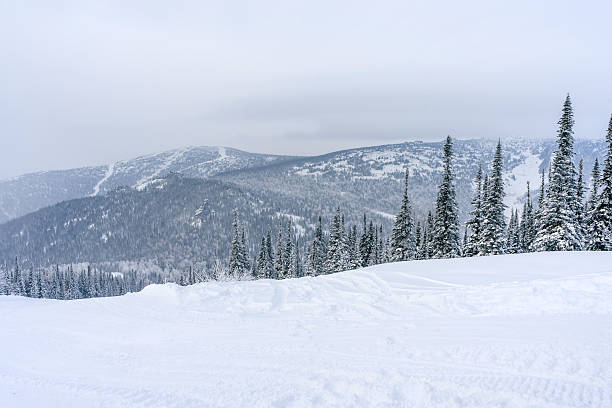 Snow covered slope with evergreen trees and distant mountains under a cloudy winter sky. Natural landscape background for skiing and winter sports.