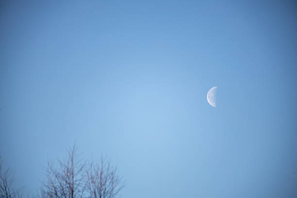 A waxing crescent moon is visible in a clear blue sky during the daytime. Bare tree branches frame the peaceful, serene view