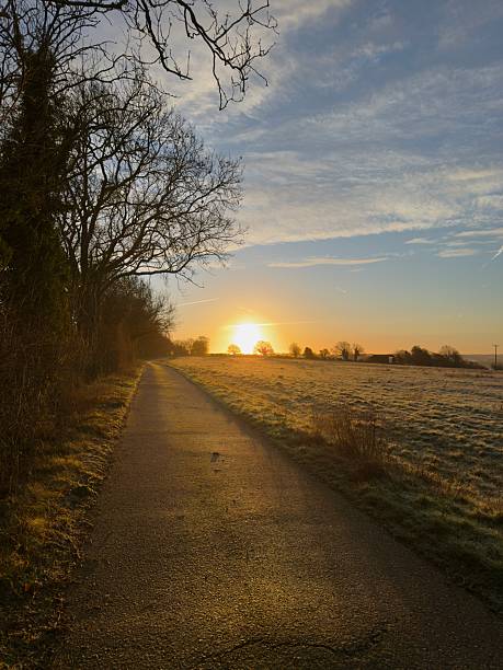 The sun rising on a frosty winter morning with bare trees in silhouette and a narrow country road beside agricultural fields