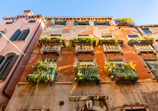 Brightly colored Venetian building facade surrounded by lush flora, showcasing intricate architectural elements and arched windows.