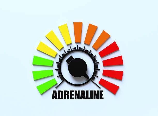 istock Adrenaline Level Indicator, Stress and Excitement Measurement 2256252805