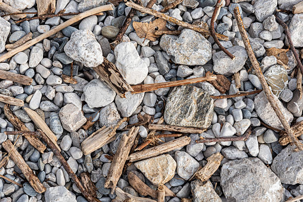 Close-up of Pebbles and Driftwood on a Mediterranean Beach