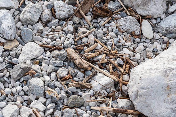 Close-up of Pebbles and Driftwood on a Mediterranean Beach