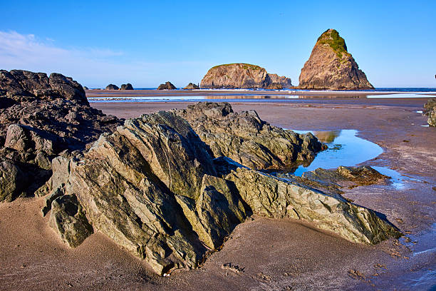 Low tide at Whaleshead Beach in Samuel H. Boardman State Scenic Corridor, Oregon reveals dramatic sea stacks, rugged rocks, and serene Tidepools under a bright blue sky, epitomizing Pacific Northwest coastal beauty.