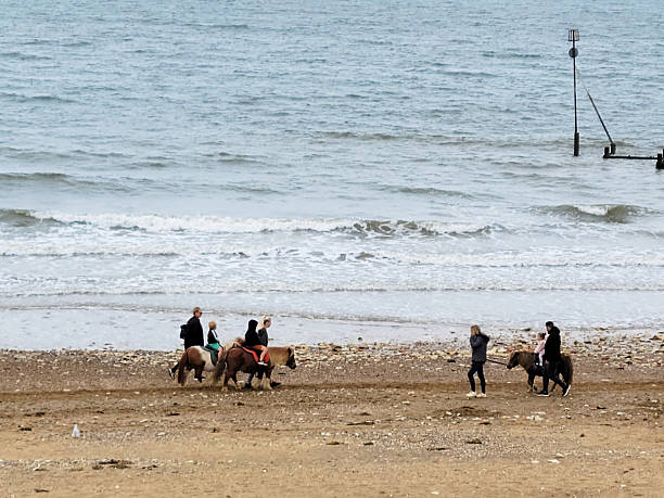 Hunstanton, Norfolk, UK: Four individuals, mainly adult women dressed in casual outdoor clothing including hats and jackets, ride small brown horses along a pebbled beach shoreline. The group moves parallel to the water's edge, with gentle waves lapping at the shore in the foreground and background. A tall buoy marker stands in the shallow sea waters. The scene is set outdoors on a coastal beach during daytime, under overcast skies, with a mix of grey-blue ocean tones, beige pebbles, and earthy horse colours dominating the composition. No specific landmarks or structures are visible beyond the natural coastal elements.