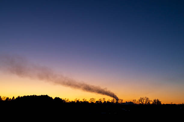 smoke from a chimney against the setting sky. silhouette of trees and branches. smoke over nature