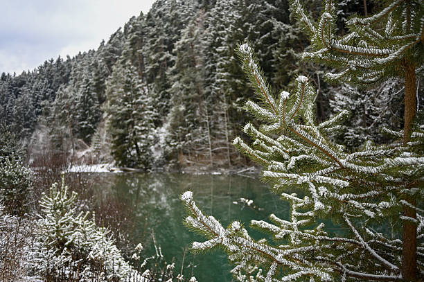 Snowy pine forest and tranquil lake reflecting winter sky