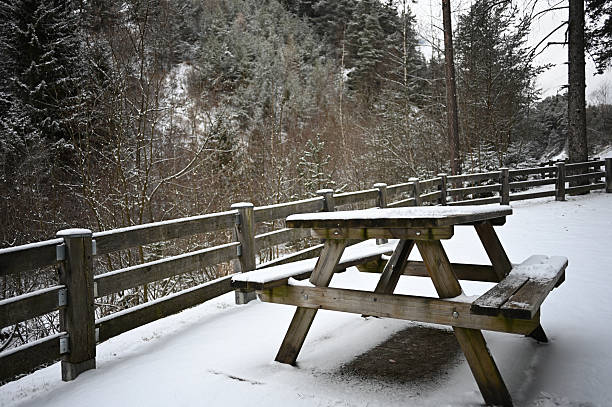 Wooden picnic table covered in fresh snow, surrounded by a winter forest and rustic fence