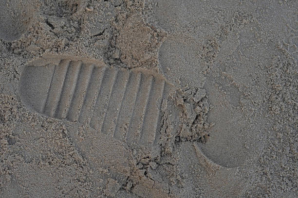 Animal track in a Nature Reserve, South Africa.