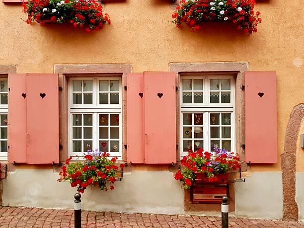 Two typical white Alsatian windows decorated with bright red flowers, set into a house wall with shutters in warm earth tones. This charming facade detail from Colmar in the Alsace region reflects traditional architecture, regional color harmony, and the picturesque character of historic village houses.