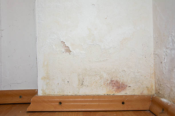 Damaged light-colored house wall with water seepage and damp patches after a water pipe burst in an apartment