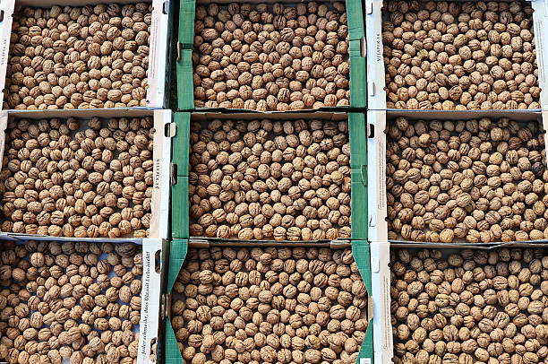 Walnuts background