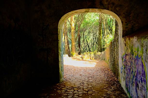 A stone arch frames a sunlit forest path surrounded by tall trees in Desierto de los Leones.