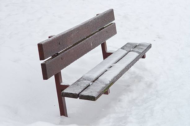 A peaceful snow-covered park featuring quiet pathways and benches surrounded by bare winter trees. This serene scene showcases the tranquility of freshly fallen snow in a calm urban setting. The layout of the benches and pathways invites contemplation and the enjoyment of winter's beauty.
