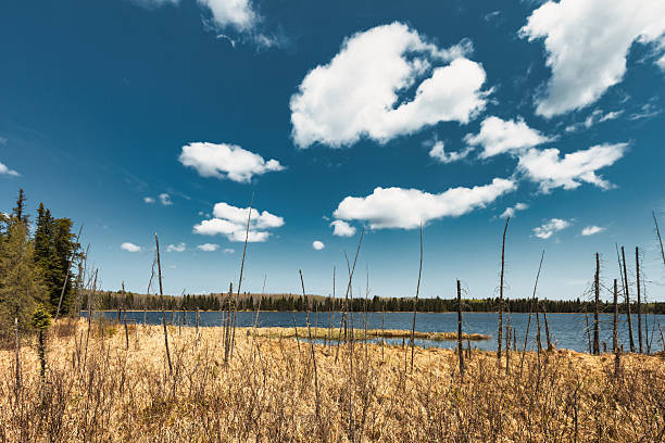 Boreal landscape with lake in Riding Mountain National Park, Manitoba, Canada.