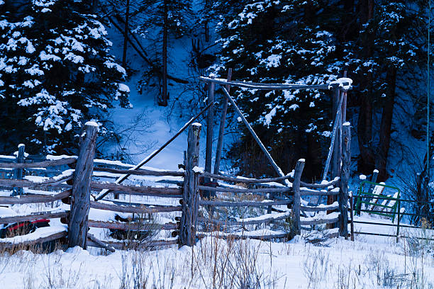 tranquil landscape in winter