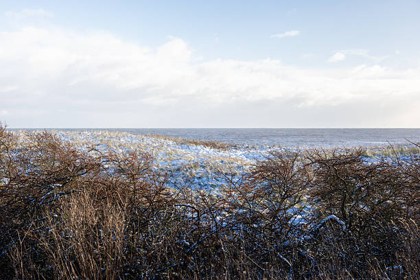 Wintry landscape on Togston Beach, Druridge Bay. Snow lightly covers grassy dunes, with the North Sea in the background under a partly cloudy sky. Sparse vegetation punctuates the scene, showcasing a serene coastal environment typical of winter in Northumberland, England.