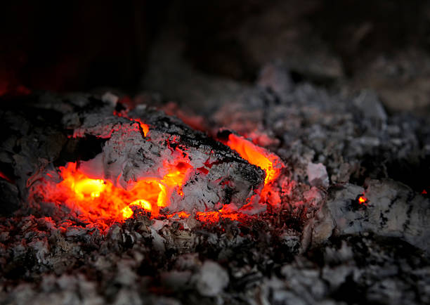 High-detail macro photograph of glowing embers and burning wood texture. Warm fiery colors, organic patterns, soft depth of field, and abstract natural shapes. Suitable for backgrounds, design elements, artistic concepts, and creative projects.