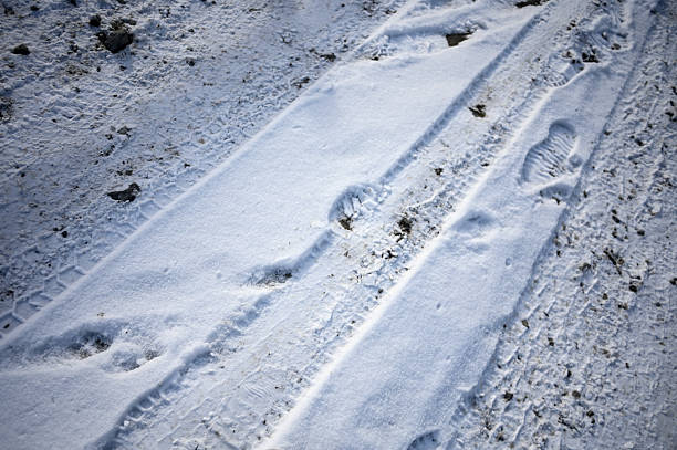 Fresh snow covering the ground with tire tracks and human footprints