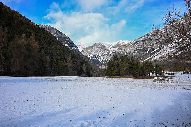 Winter landscape with snow, pine trees, and imposing mountains under a blue sky