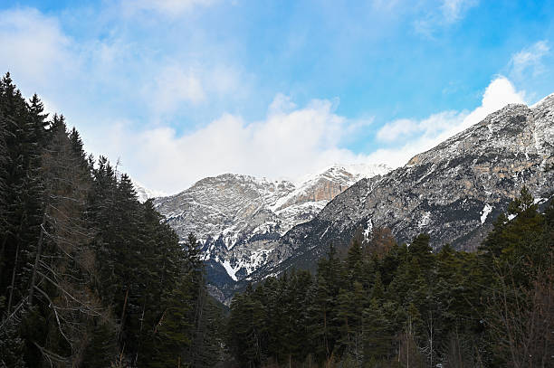 Snow-covered mountain peaks rising above a natural evergreen forest under a blue sky