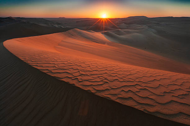 A dramatic sunrise casts warm, golden light across vast, wind-sculpted sand dunes. Rippling textures and long shadows emphasize the curving ridgelines as the sun peeks over the horizon, creating a serene, expansive desert scene.
