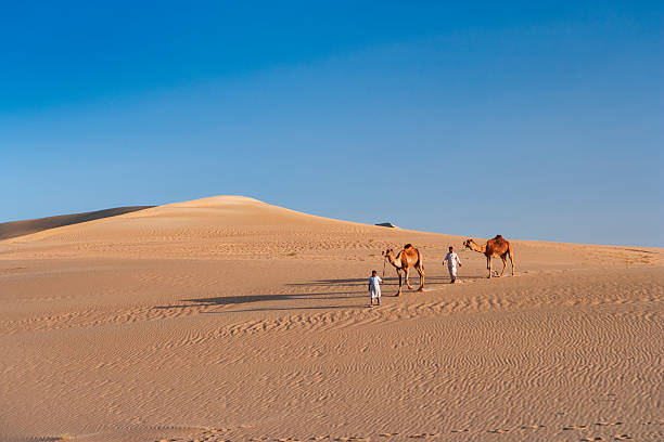 A wide, sunlit desert scene with rippled sand dunes beneath a clear blue sky. A small group of people in white garments walk with two camels, their long shadows stretching across the warm, textured sand. The composition emphasizes open space, golden light, and the serene simplicity of a caravan moving across the dunes.