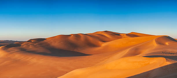 A vast expanse of smooth, wind-sculpted sand dunes bathed in warm, low-angle light. Soft ripples and sweeping ridgelines create flowing patterns of shadow and highlight beneath a clear, gradient blue sky, conveying a sense of solitude and timeless desert beauty.