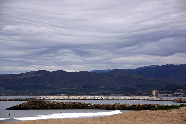 Beach view of birds, surfers and hotel in distance