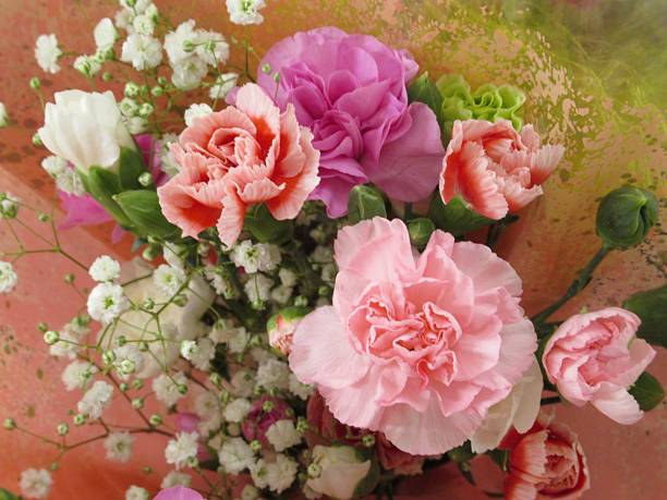 Beautiful Bright Closeup Colourful Carnation Flower Bouquet