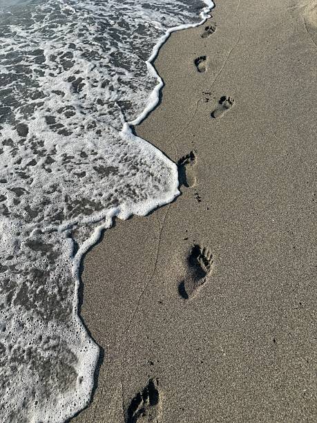 Footprints in the sand at Crescent Beach in Sarasota, Florida