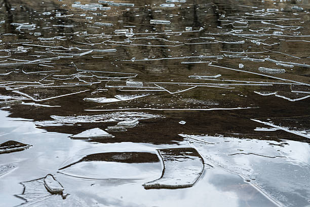 A tranquil forest pond partially covered with ice, surrounded by bare trees and reeds during winter, reflecting a calm and cold seasonal atmosphere.