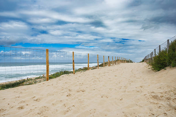 A sandy pathway bordered by a wooden fence leads to a beautiful beach with waves crashing in the background under a dramatic cloudy sky