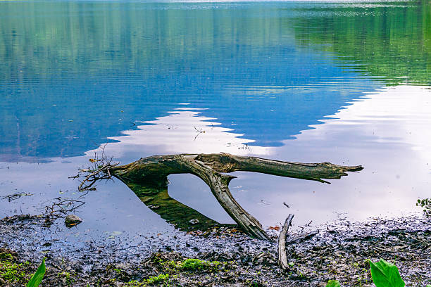 Silent Lake Onneto in Eastern Hokkaido