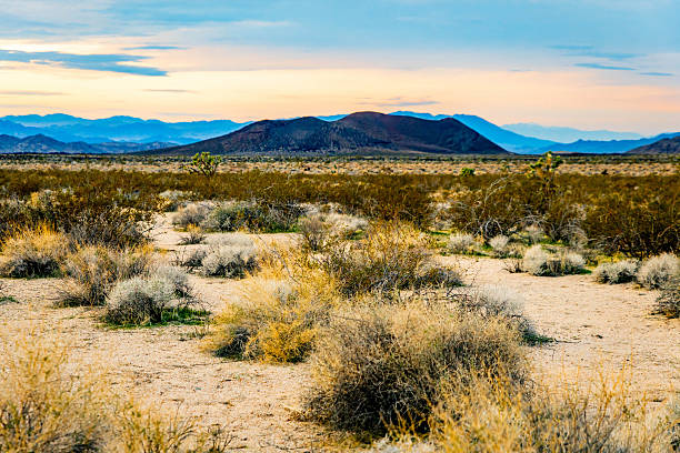 Sunset light covers cinder cone volcanoes and valley in the Mojave Desert California
