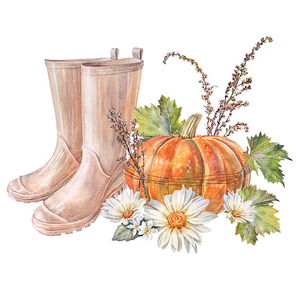 Watercolor autumn pumpkin and yellow chamomile and rubber boots isolated on white background. Bloom flower chrysanthemum or daisy for card. Clipart with vegetable for invite. Wallpaper or wrapping.
