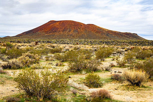 Sunset light covers cinder cone volcanoes and valley in the Mojave Desert California