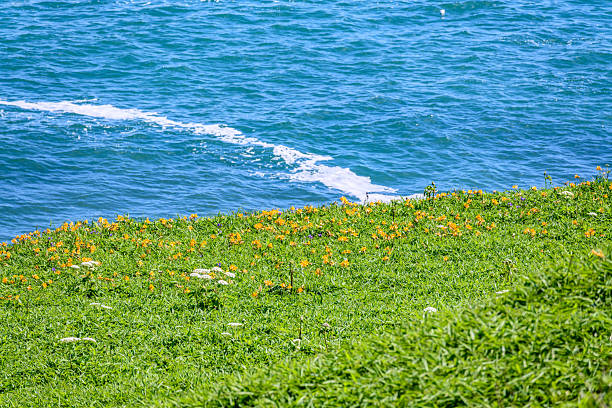 Walking around Cape Kiritappu under the blue sky