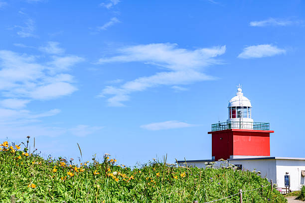 Walking around Cape Kiritappu under the blue sky