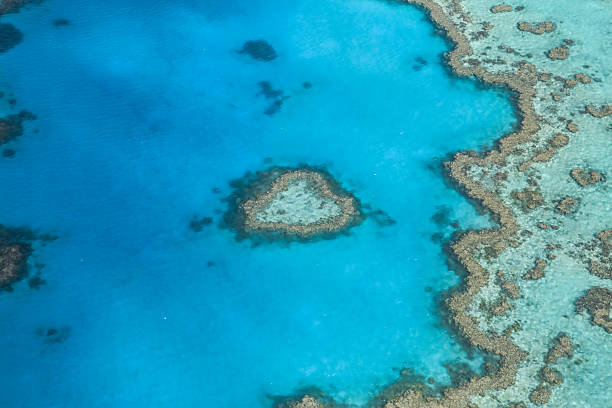A heart-shaped coral reef in the world's largest coral reef system.