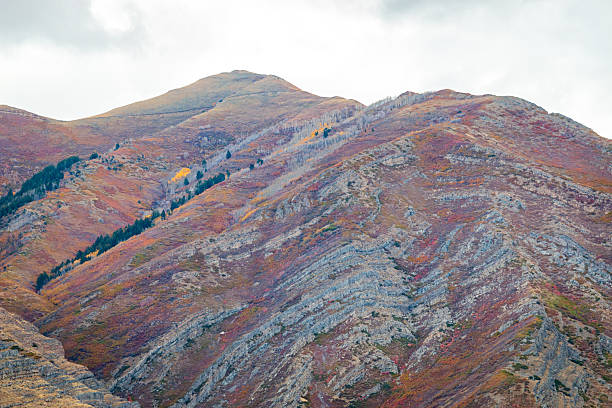 Lone Peak Ridge Under Stormy Skies. The rolling green ridges of Lone Peak Mountain, Utah, bask in the soft glow of sunlight as rain clouds loom above. A stunning juxtaposition of light and shadow in this scenic alpine view.