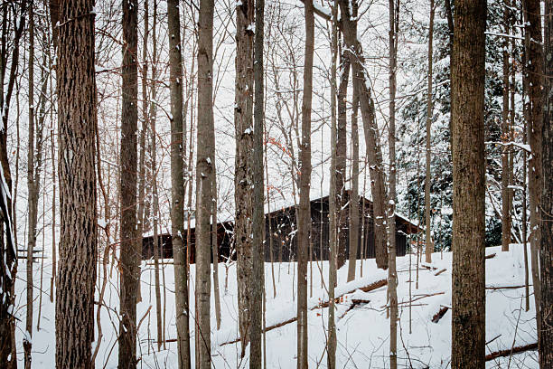 Winter landscape
