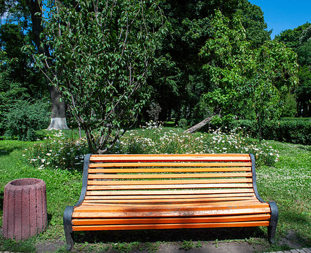 Metal garden chair on green grass and dustbin