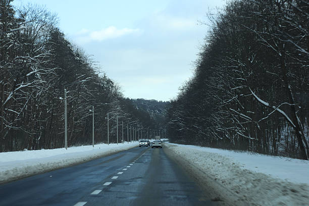 Road in a snowy forest