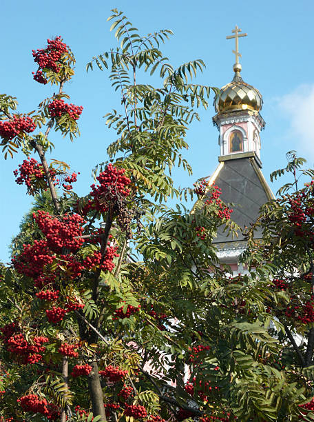 old wood temple bogorodskiy with ashberry