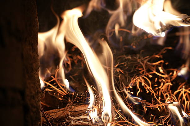 The burning firewood in the old-fashioned stove