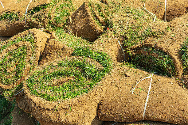 Stacks of green turf rolls